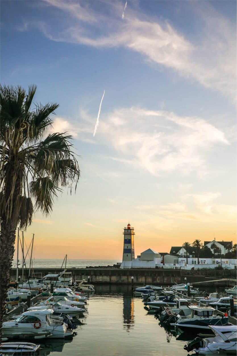 SKY UNICORN Presentation - photo 11