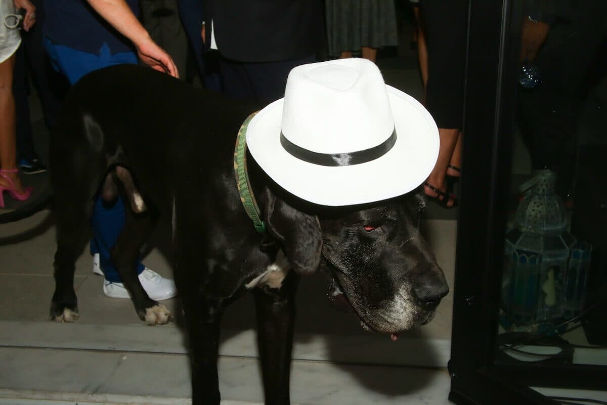 CASABLANCA NIGHT featuring Bogart Spirits - photo 22